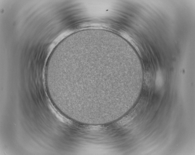 X0000086971482200705141638