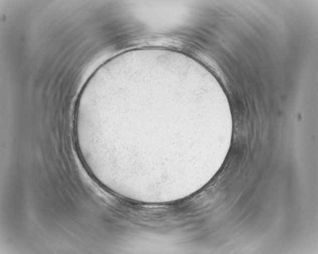 X0000086971483200705141638