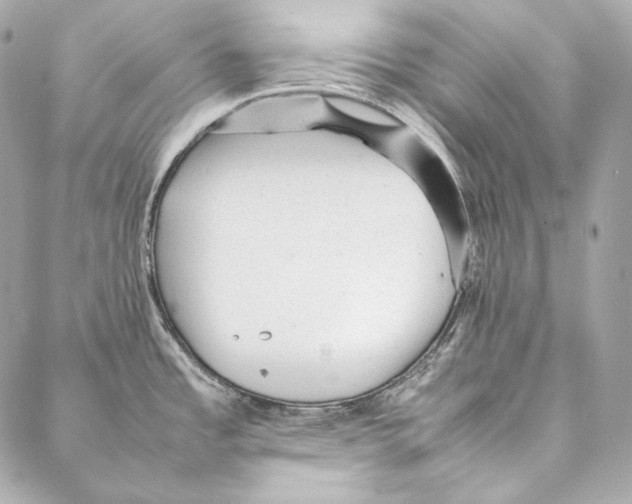 X0000086971485200705141638