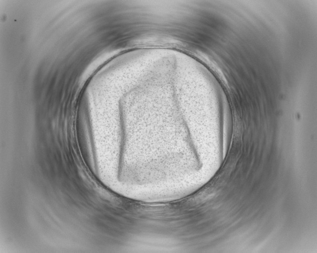 X0000086971486200705141638