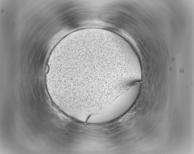 X0000086971488200705141638