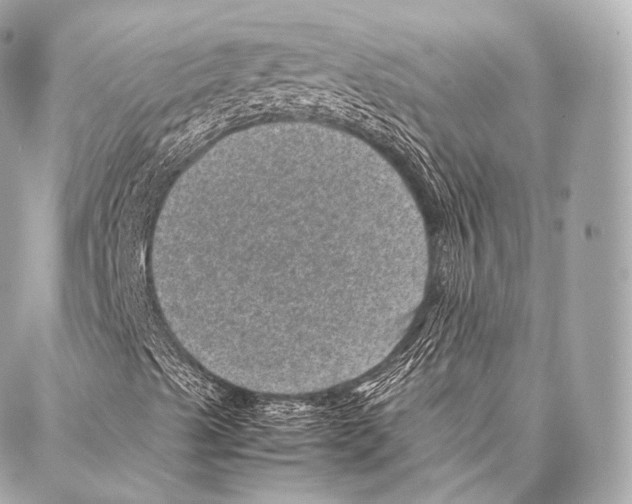 X0000086971489200705141637