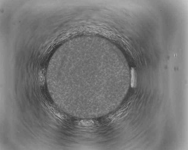 X0000086971491200705141637