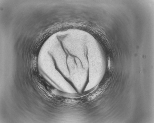 X0000086971492200705141637