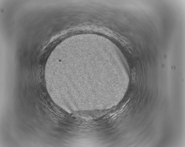 X0000086971494200705141637