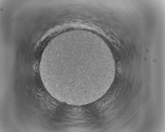 X0000086971495200705141637