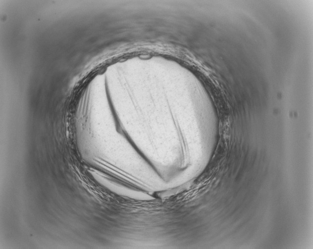 X0000086971496200705141637