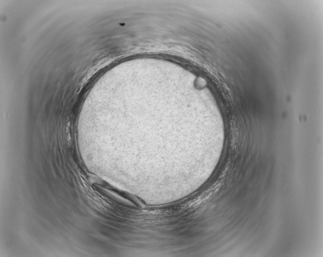 X0000086971497200705141637