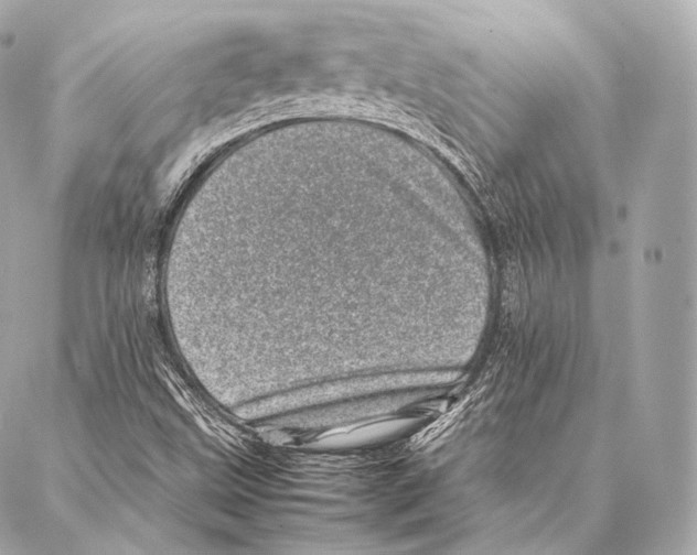 X0000086971499200705141638