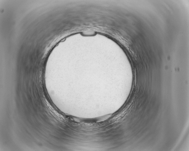 X0000086971500200705141638