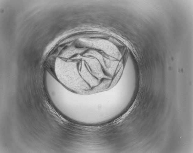 X0000086971502200705141638