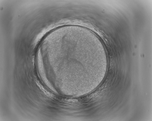 X0000086971503200705141638