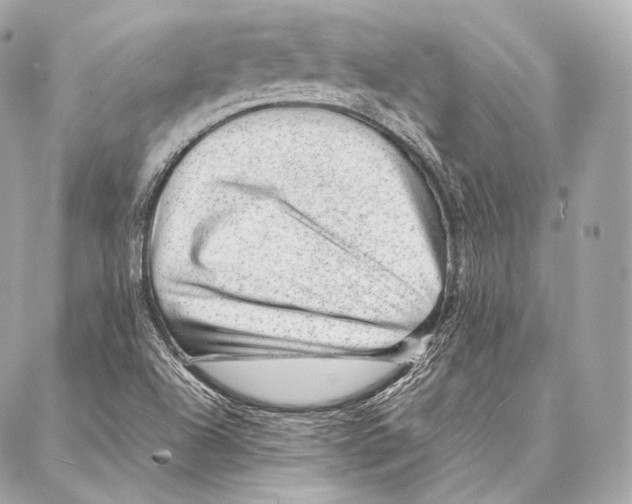 X0000086971504200705141638