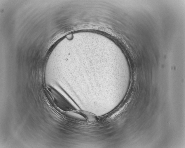 X0000086971505200705141638