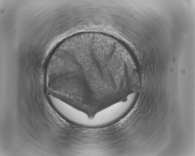 X0000086971506200705141638