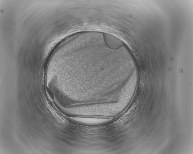 X0000086971507200705141638