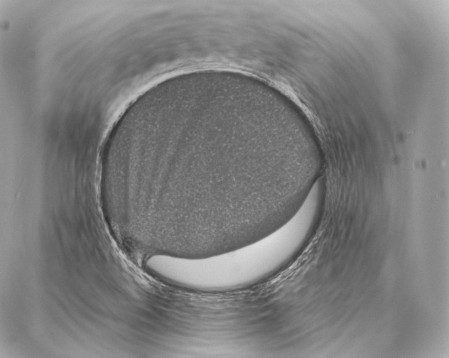 X0000086971508200705141638