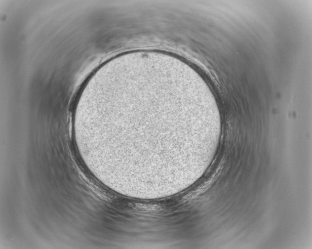 X0000086971509200705141638