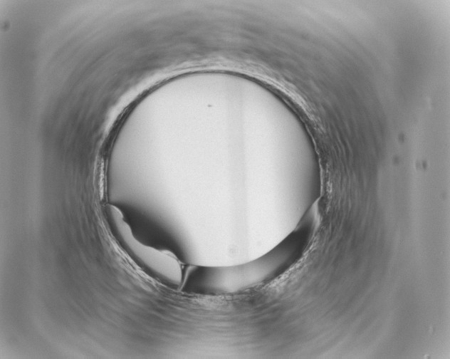 X0000086971510200705141638