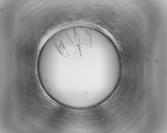 X0000086971512200705141638