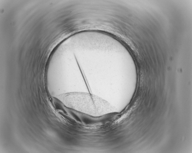 X0000086971513200705141638