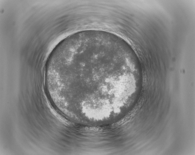 X0000086971515200705141638