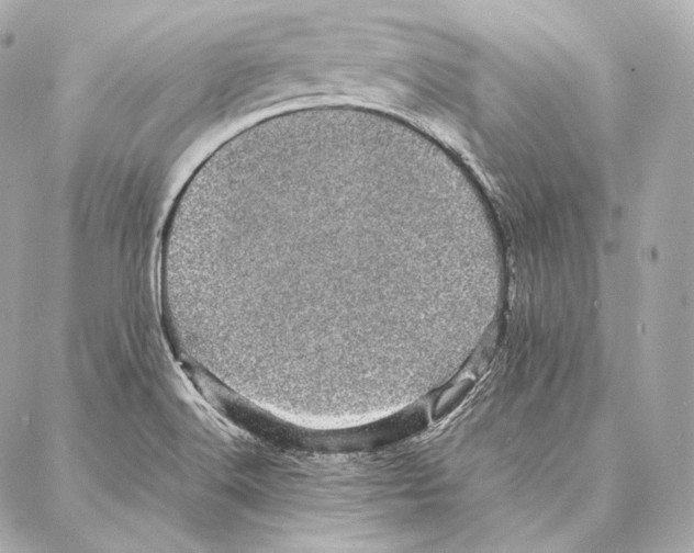 X0000086971516200705141638