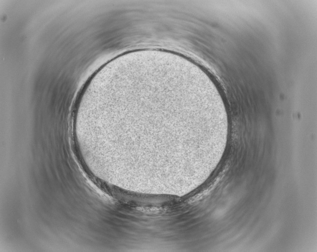 X0000086971517200705141638