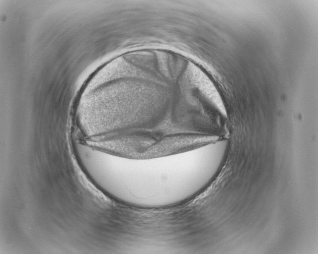 X0000086971518200705141638