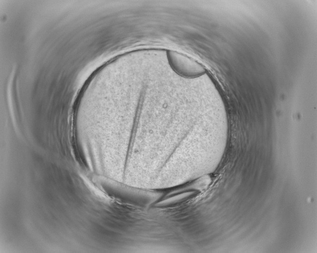 X0000086971519200705141638