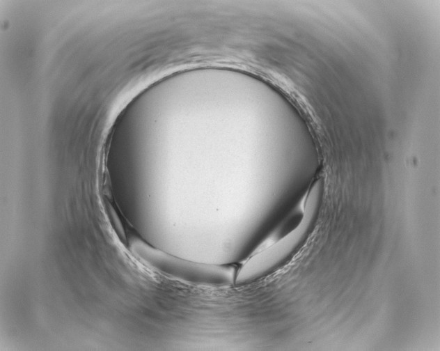 X0000086971520200705141638