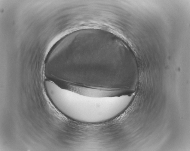 X0000086971522200705141638