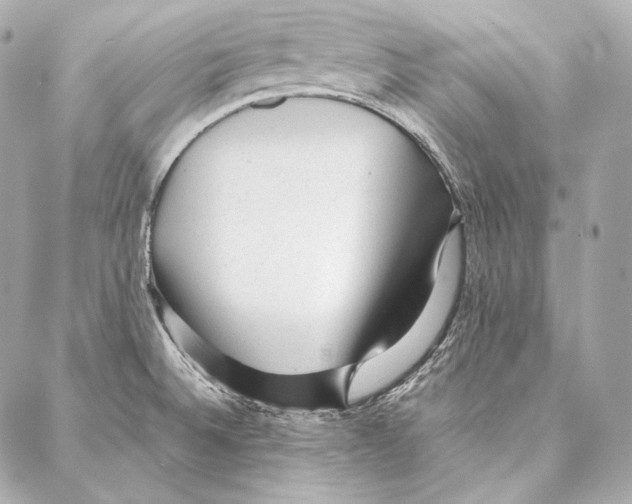 X0000086971524200705141638