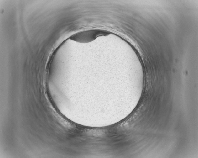 X0000086971525200705141638