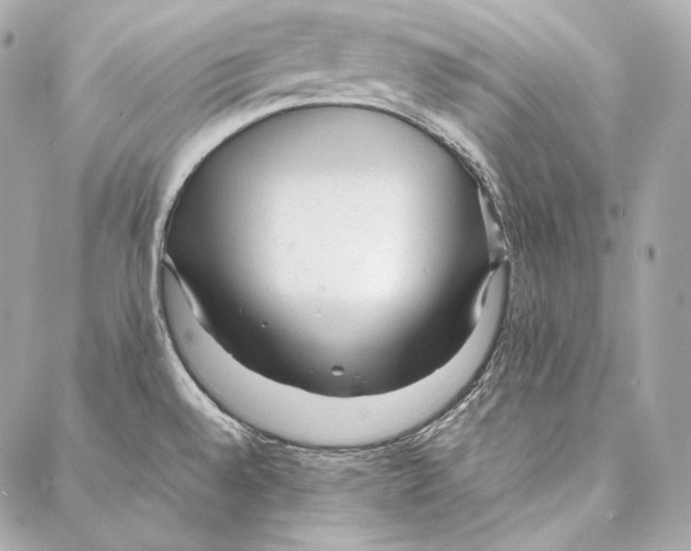 X0000086971528200705141638