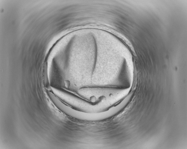 X0000086971530200705141638