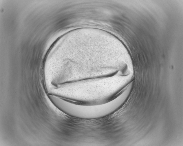 X0000086971531200705141638