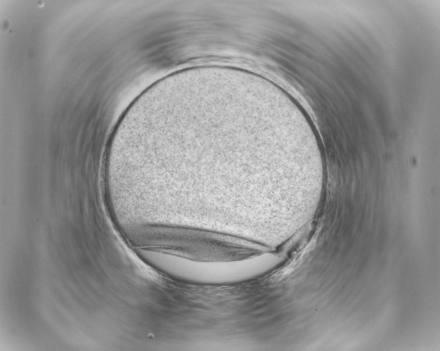 X0000086971533200705141638