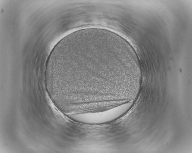 X0000086971534200705141638