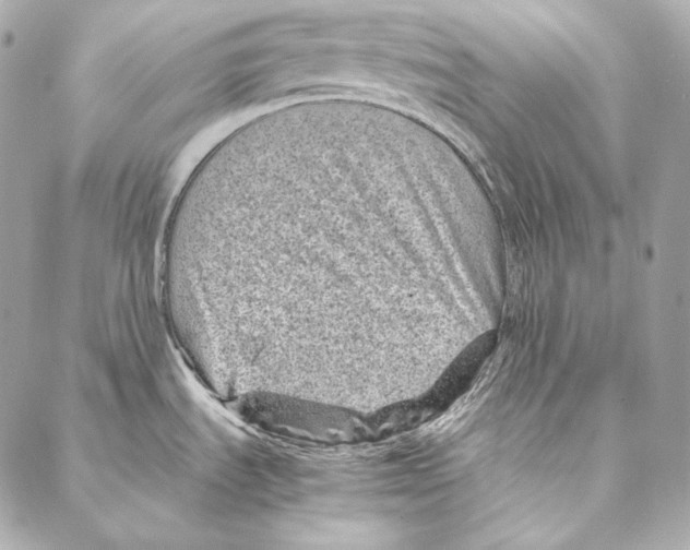 X0000086971535200705141638