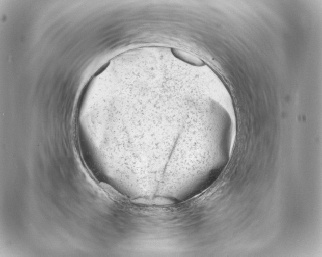 X0000086971536200705141638