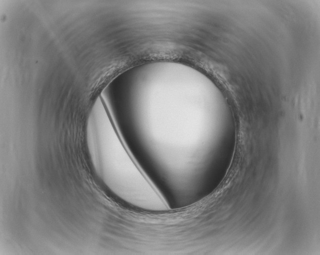 X0000086980017200704161139
