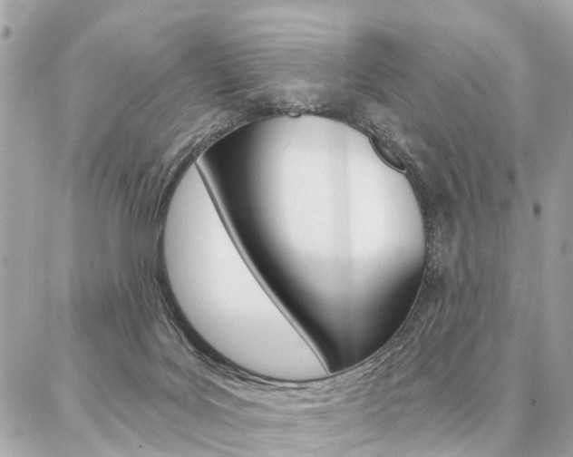 X0000086980027200704161139