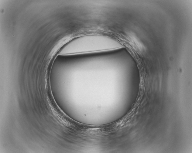 X0000086980054200704161138