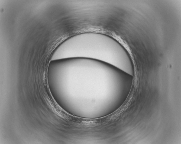 X0000086980057200704161138
