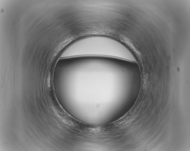 X0000086980068200704161138