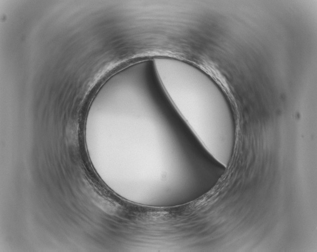 X0000086980108200704161138