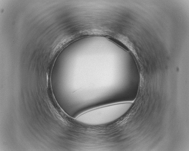 X0000086980109200704161137