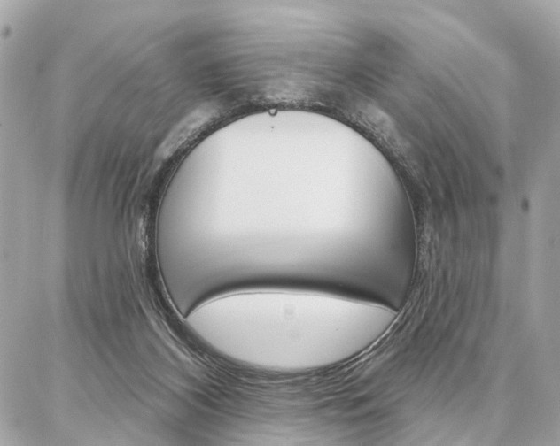 X0000086980116200704161137