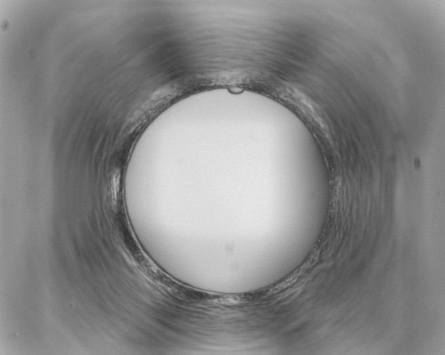 X0000086980118200704161137